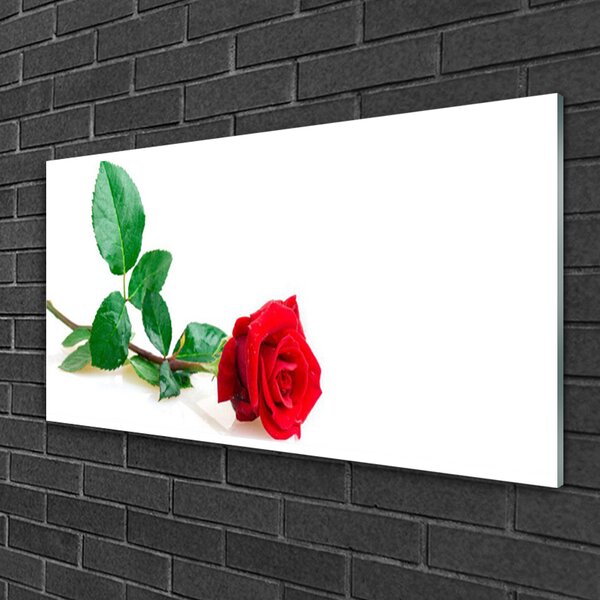 Skleneny obraz Ruže kvet rastlina 100x50 cm 2 Prívesky