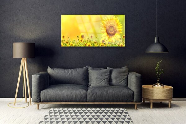 Skleneny obraz Slnečnica kvet rastlina 100x50 cm 2 Prívesky