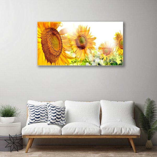 Skleneny obraz Slnečnica kvet rastlina 100x50 cm 2 Prívesky