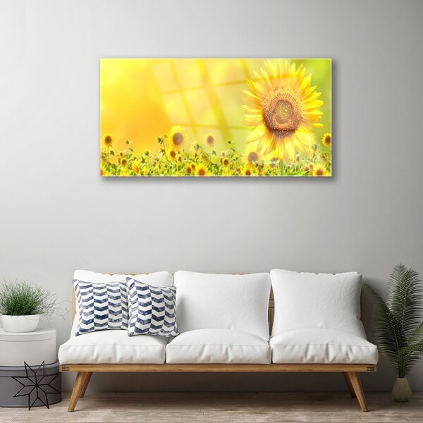 Skleneny obraz Slnečnica kvet rastlina 100x50 cm 2 Prívesky