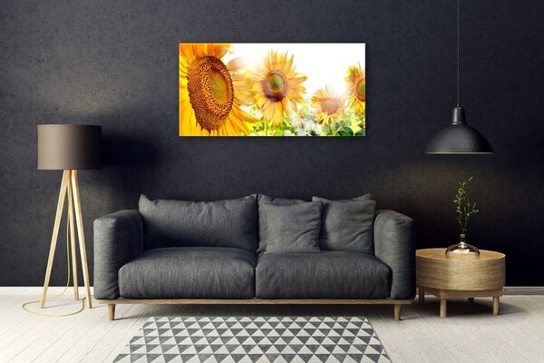Skleneny obraz Slnečnica kvet rastlina 100x50 cm 2 Prívesky