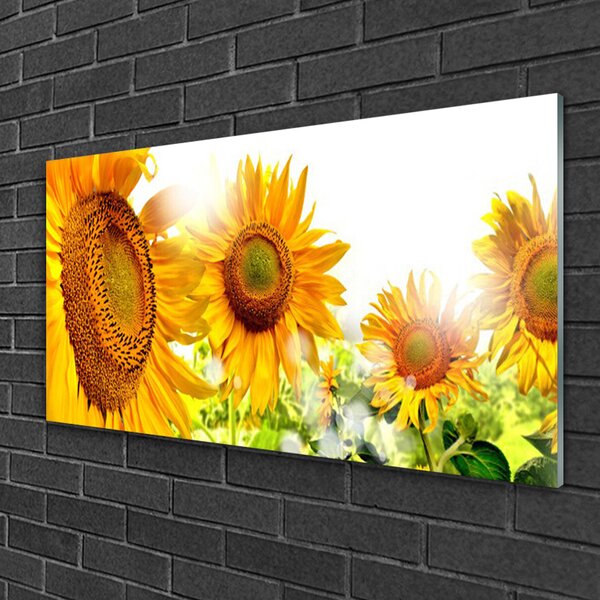Skleneny obraz Slnečnica kvet rastlina 100x50 cm 2 Prívesky