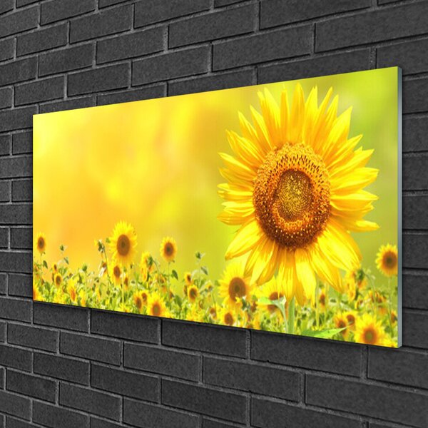 Skleneny obraz Slnečnica kvet rastlina 100x50 cm 2 Prívesky