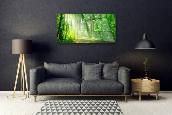Skleneny obraz Les cestička stromy príroda 100x50 cm 2 Prívesky