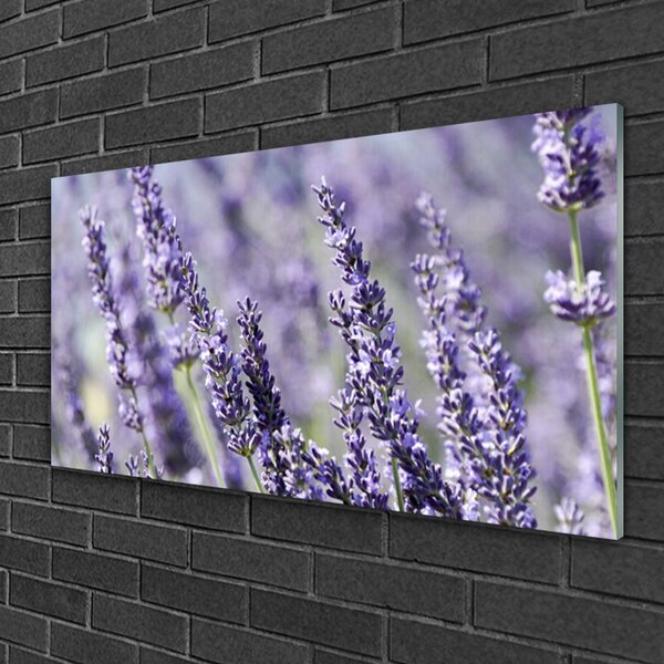 Skleneny obraz Kvety rastlina príroda 100x50 cm 2 Prívesky