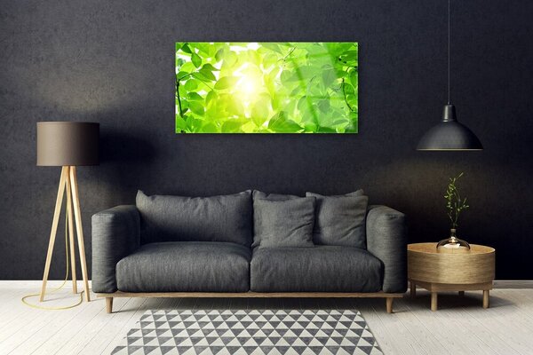 Skleneny obraz Listy príroda slnko rastlina 100x50 cm 2 Prívesky