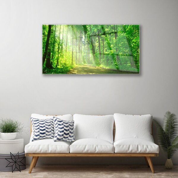 Skleneny obraz Les cestička stromy príroda 100x50 cm 2 Prívesky