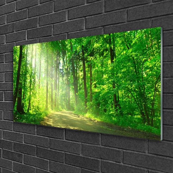 Skleneny obraz Les cestička stromy príroda 100x50 cm 2 Prívesky
