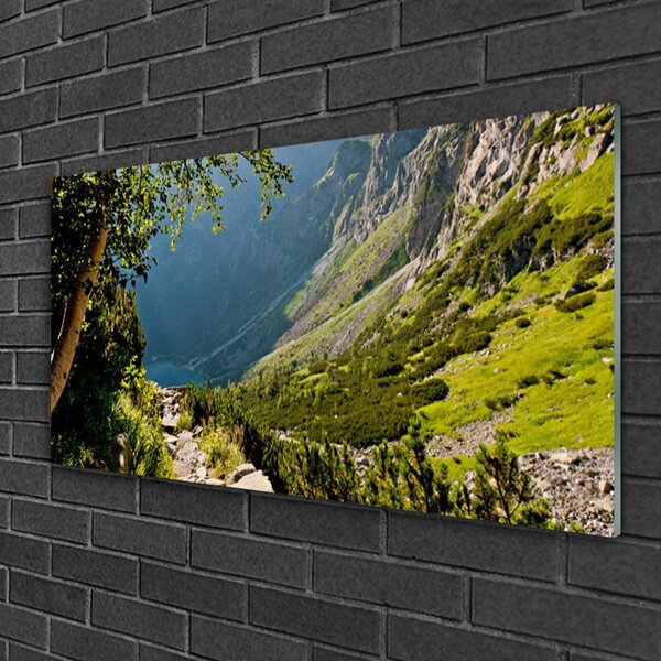 Skleneny obraz Hora les príroda 100x50 cm 2 Prívesky