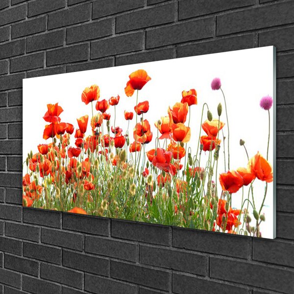 Skleneny obraz Maky rastlina príroda 100x50 cm 2 Prívesky