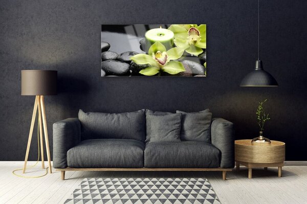 Skleneny obraz Kvet kamene rastlina 100x50 cm 2 Prívesky