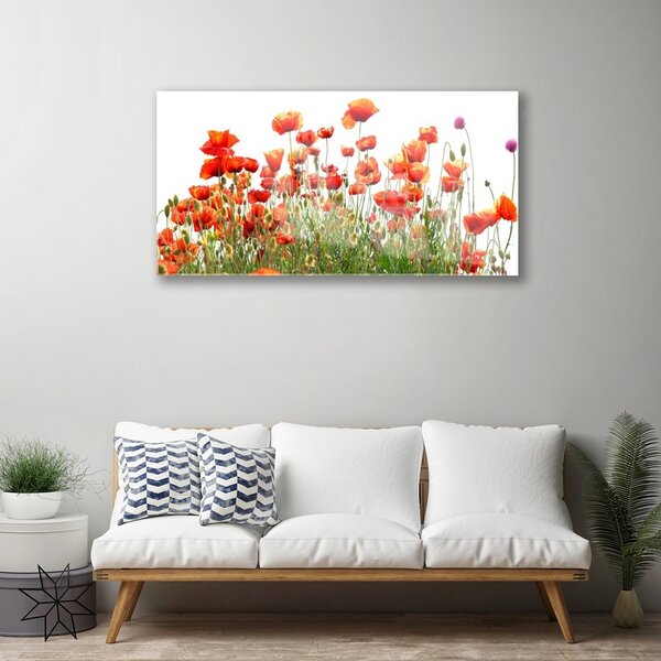 Skleneny obraz Maky rastlina príroda 100x50 cm 2 Prívesky