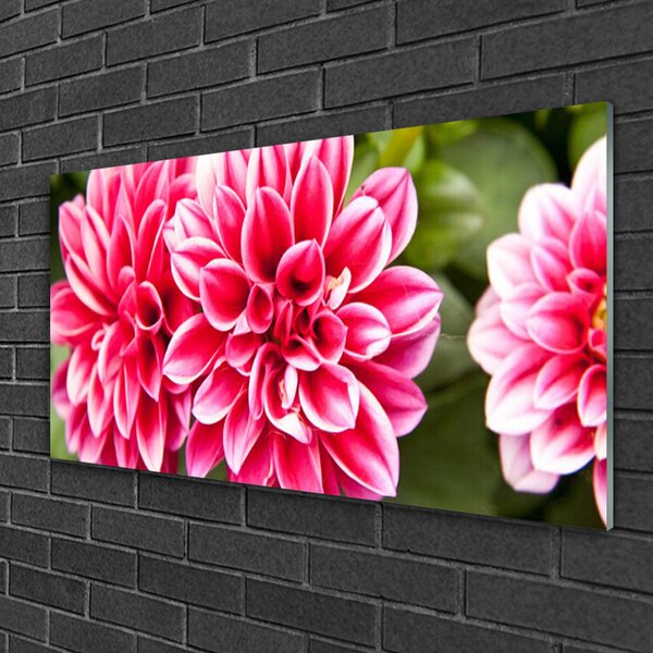 Skleneny obraz Kvety rastlina príroda 100x50 cm 2 Prívesky