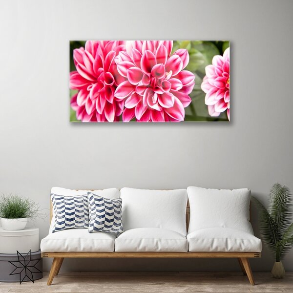 Skleneny obraz Kvety rastlina príroda 100x50 cm 2 Prívesky