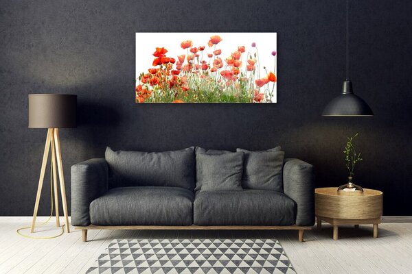 Skleneny obraz Maky rastlina príroda 100x50 cm 2 Prívesky