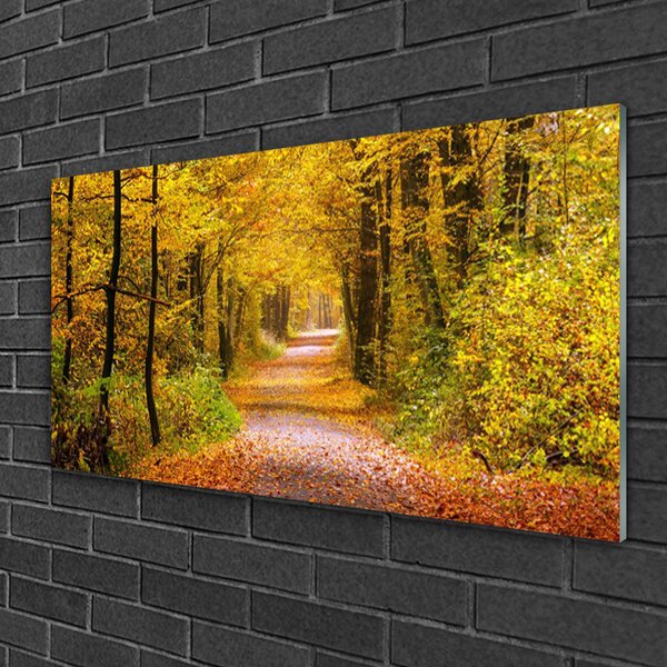 Skleneny obraz Les rastlina cestička príroda 100x50 cm 2 Prívesky
