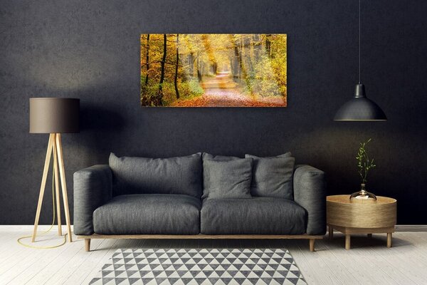 Skleneny obraz Les rastlina cestička príroda 100x50 cm 2 Prívesky