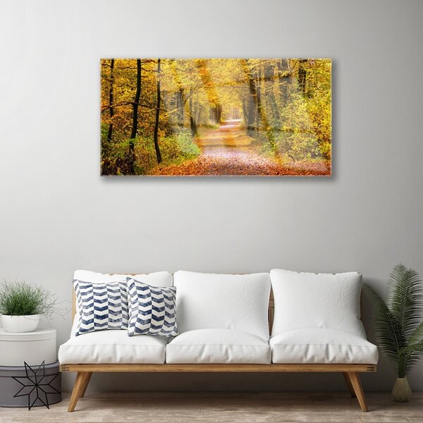 Skleneny obraz Les rastlina cestička príroda 100x50 cm 2 Prívesky