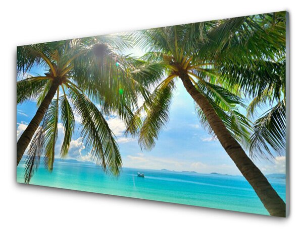 Sklenený obklad Do kuchyne Palma strom more krajina 120x60 cm