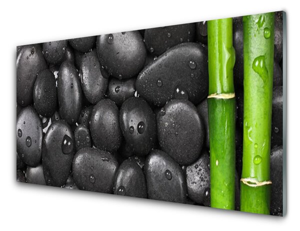 Sklenený obklad Do kuchyne Bambus stonka kamene 120x60 cm