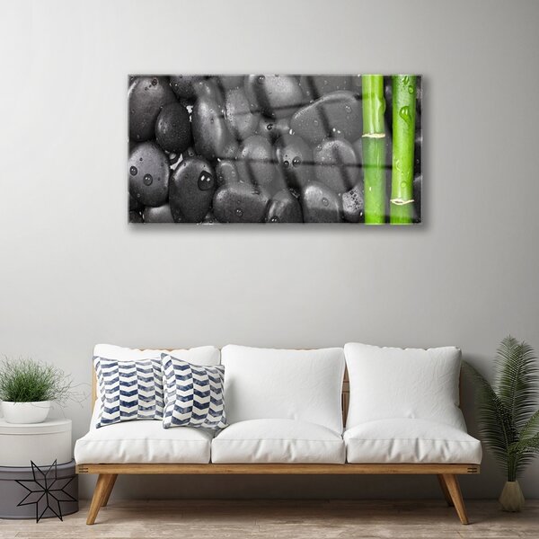 Skleneny obraz Bambus stonka kamene 100x50 cm 2 Prívesky