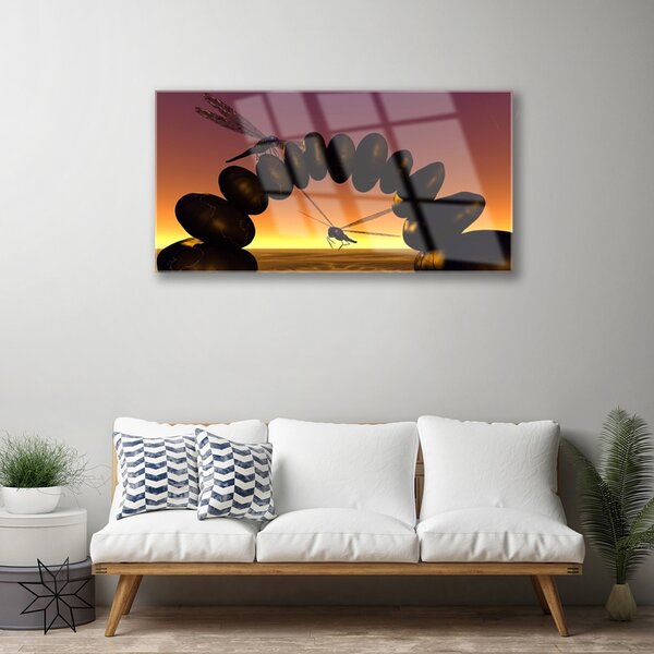 Skleneny obraz Vážky kamene umenie 100x50 cm 2 Prívesky