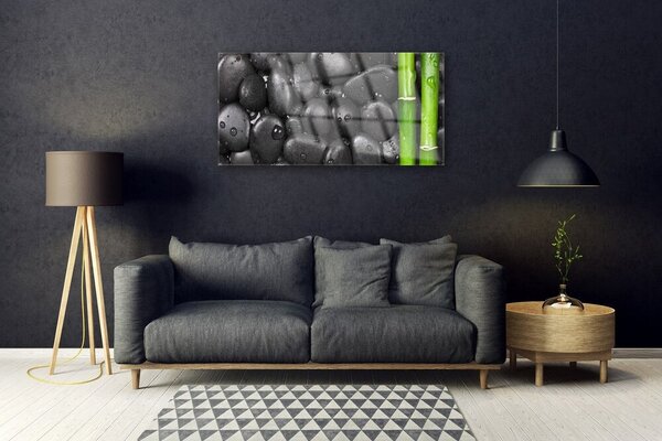 Skleneny obraz Bambus stonka kamene 100x50 cm 2 Prívesky