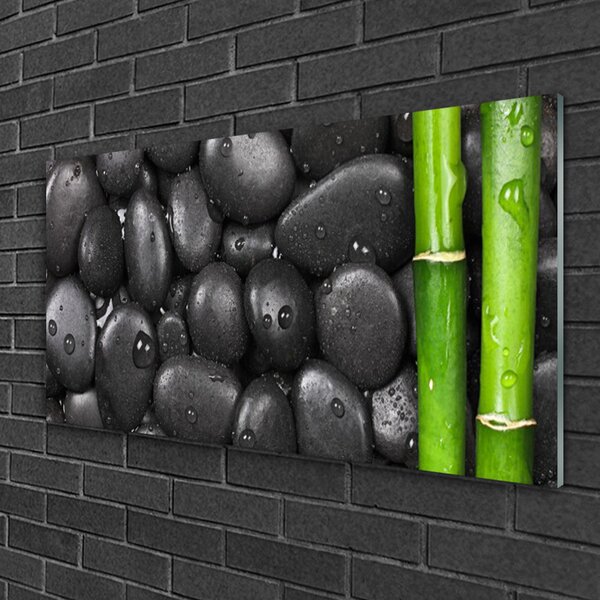 Skleneny obraz Bambus stonka kamene 100x50 cm 2 Prívesky