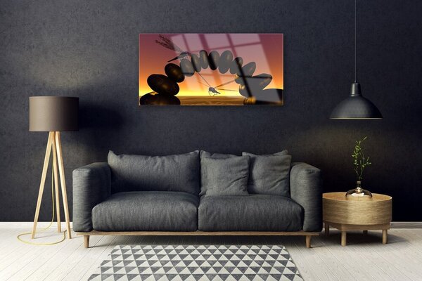 Skleneny obraz Vážky kamene umenie 100x50 cm 2 Prívesky