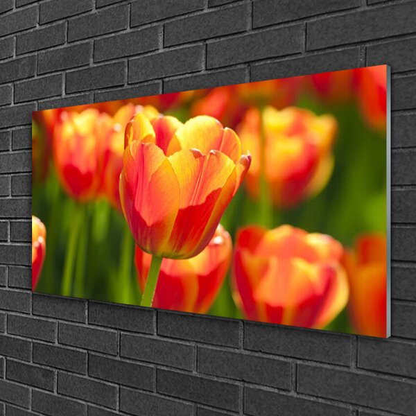 Skleneny obraz Tulipány kvety rastlina 100x50 cm 2 Prívesky