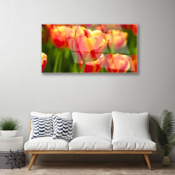 Skleneny obraz Tulipány kvety rastlina 100x50 cm 2 Prívesky