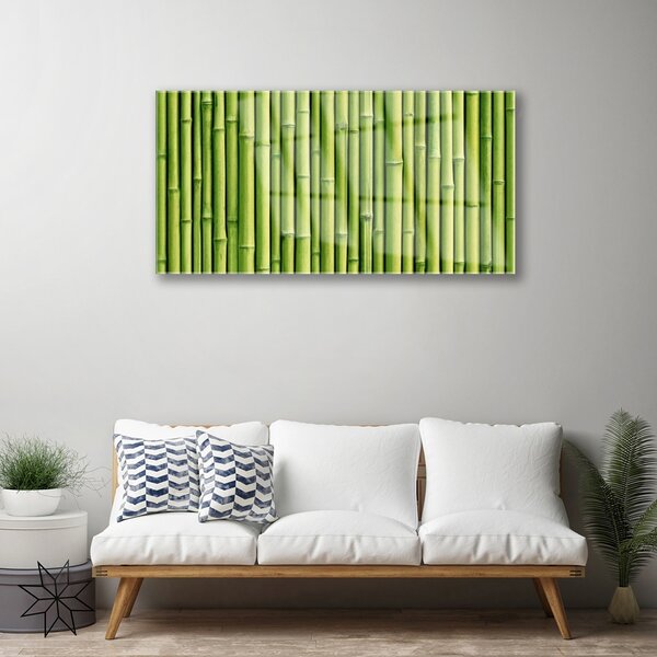 Skleneny obraz Bambus rastlina príroda 100x50 cm 2 Prívesky
