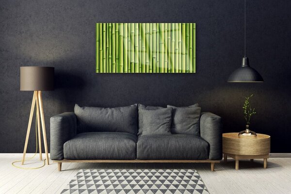 Skleneny obraz Bambus rastlina príroda 100x50 cm 2 Prívesky