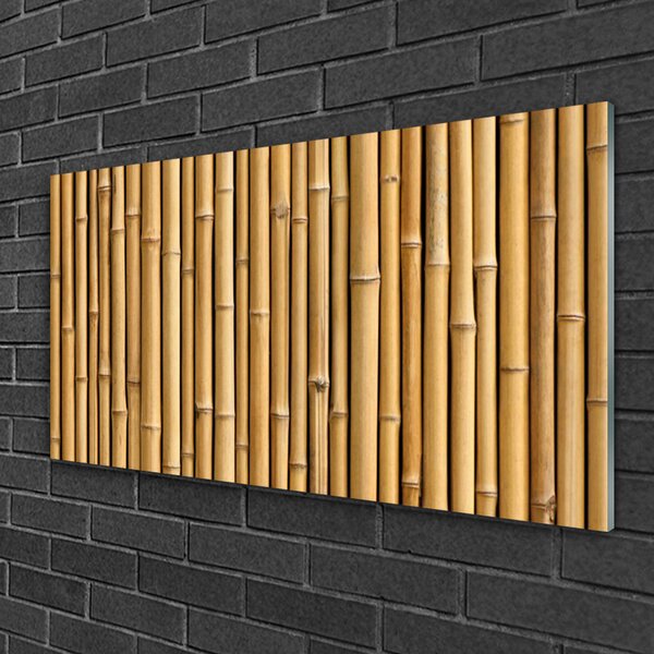 Skleneny obraz Bambus rastlina príroda 100x50 cm 2 Prívesky