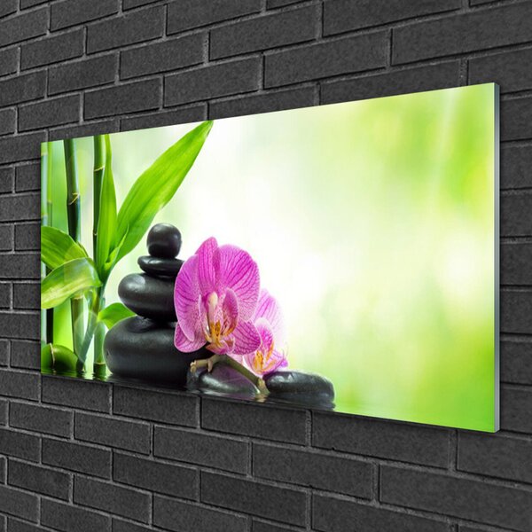Skleneny obraz Bambus kamene zen umenie 100x50 cm 2 Prívesky