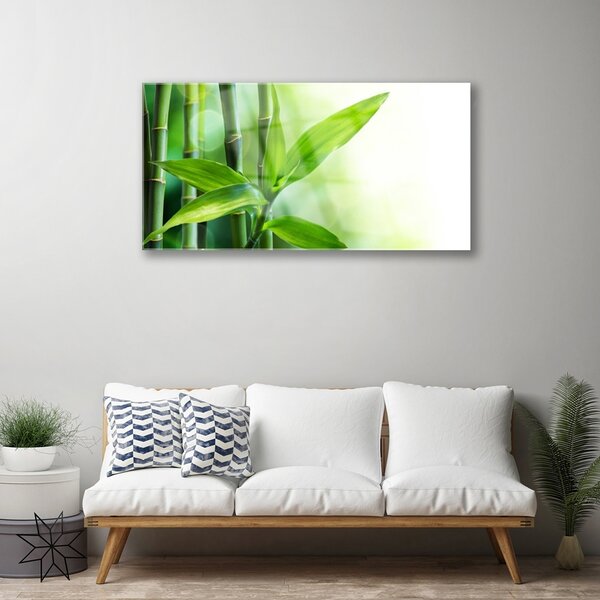 Skleneny obraz Bambus list rastlina príroda 100x50 cm 2 Prívesky