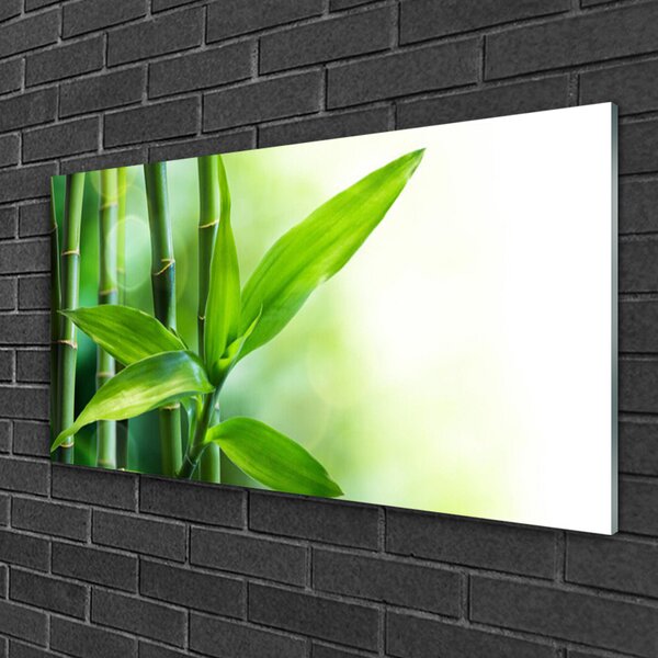 Skleneny obraz Bambus list rastlina príroda 100x50 cm 2 Prívesky