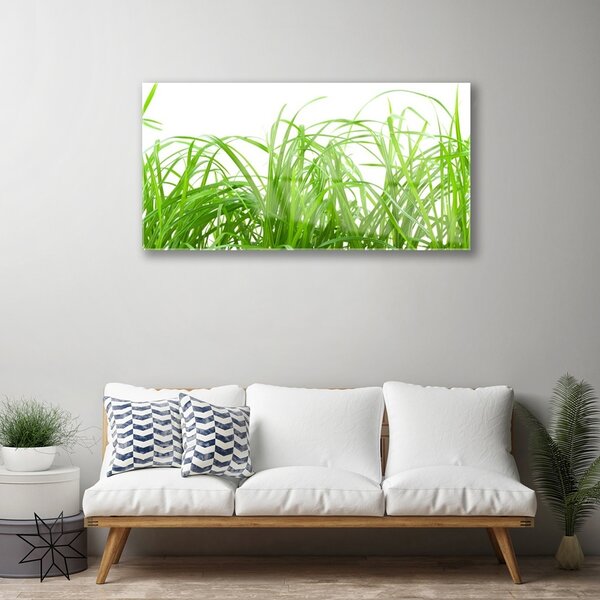 Skleneny obraz Tráva rastlina príroda 100x50 cm 2 Prívesky