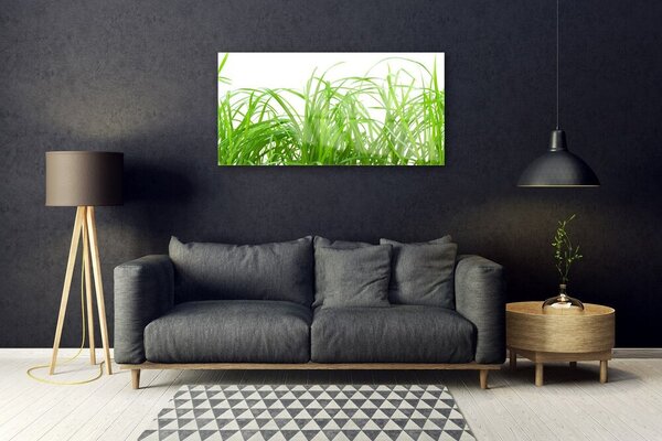 Skleneny obraz Tráva rastlina príroda 100x50 cm 2 Prívesky