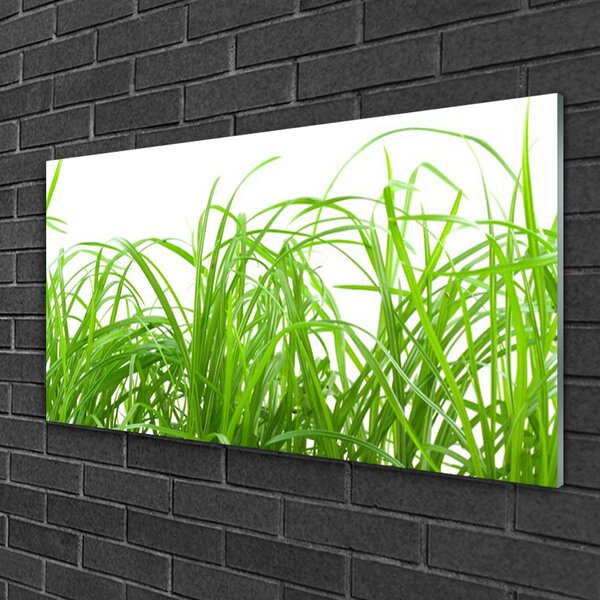 Skleneny obraz Tráva rastlina príroda 100x50 cm 2 Prívesky