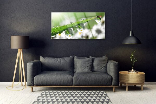 Skleneny obraz Tráva rosa kvapky príroda 100x50 cm 2 Prívesky