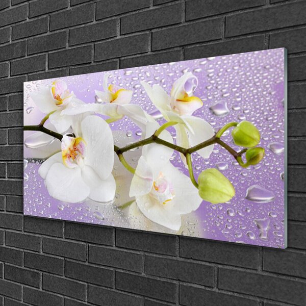 Skleneny obraz Kvety rastlina príroda 100x50 cm 2 Prívesky