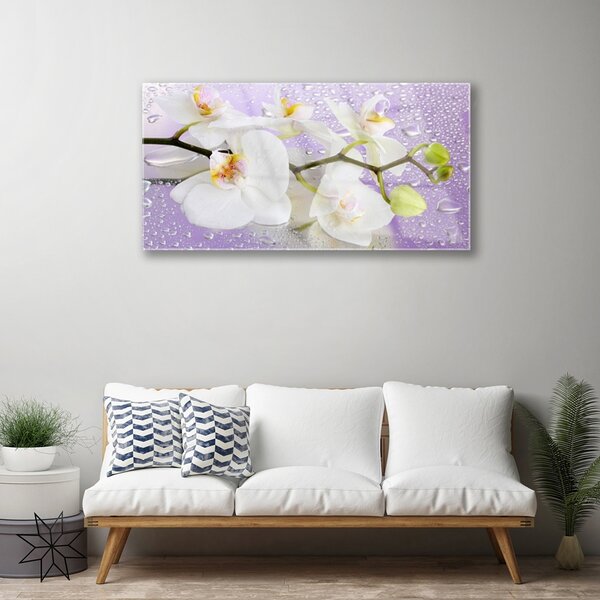 Skleneny obraz Kvety rastlina príroda 100x50 cm 2 Prívesky
