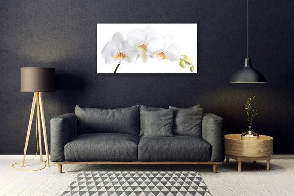 Skleneny obraz Kvety rastlina príroda 100x50 cm 2 Prívesky