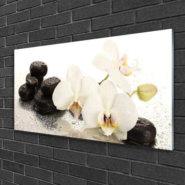 Skleneny obraz Kvet kamene rastlina 100x50 cm 2 Prívesky