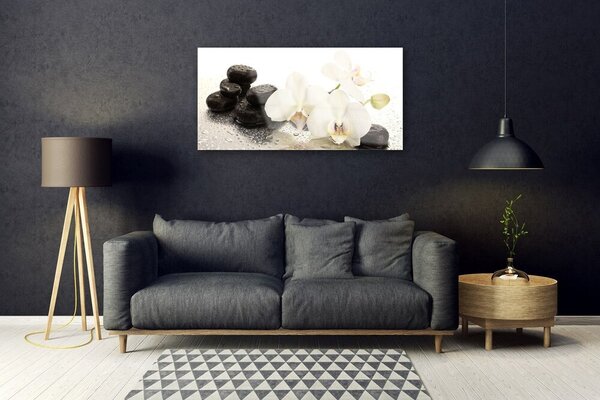 Skleneny obraz Kvet kamene rastlina 100x50 cm 2 Prívesky