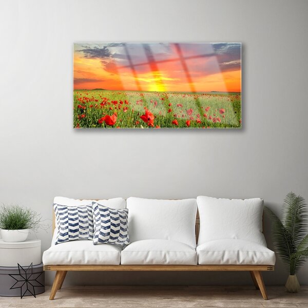 Skleneny obraz Maky slnko rastlina príroda 100x50 cm 2 Prívesky