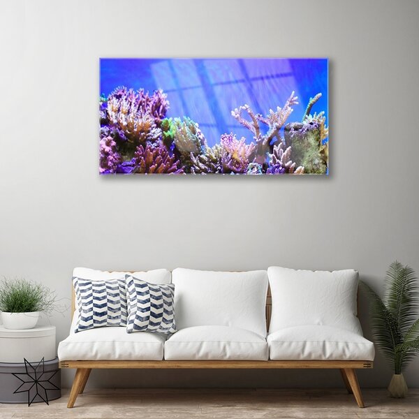 Skleneny obraz Koralový útes príroda 100x50 cm 2 Prívesky