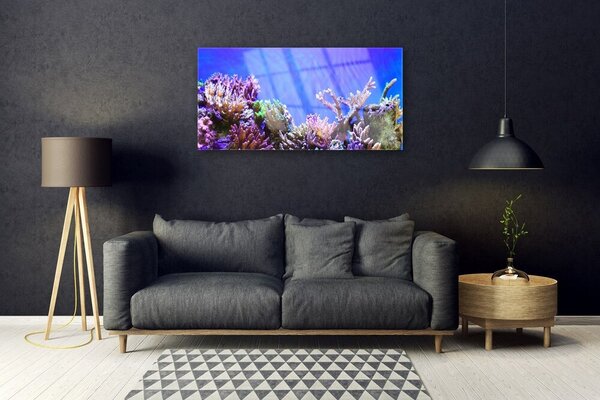 Skleneny obraz Koralový útes príroda 100x50 cm 2 Prívesky
