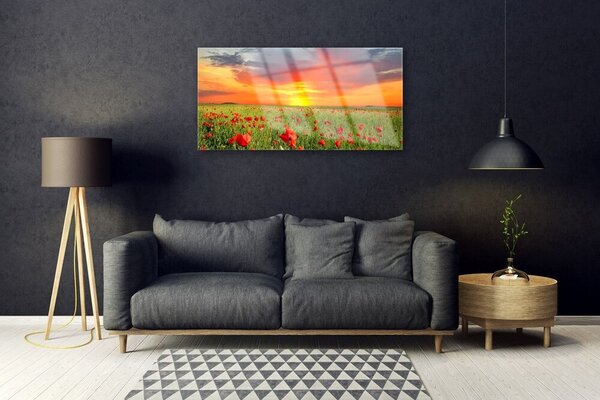 Skleneny obraz Maky slnko rastlina príroda 100x50 cm 2 Prívesky